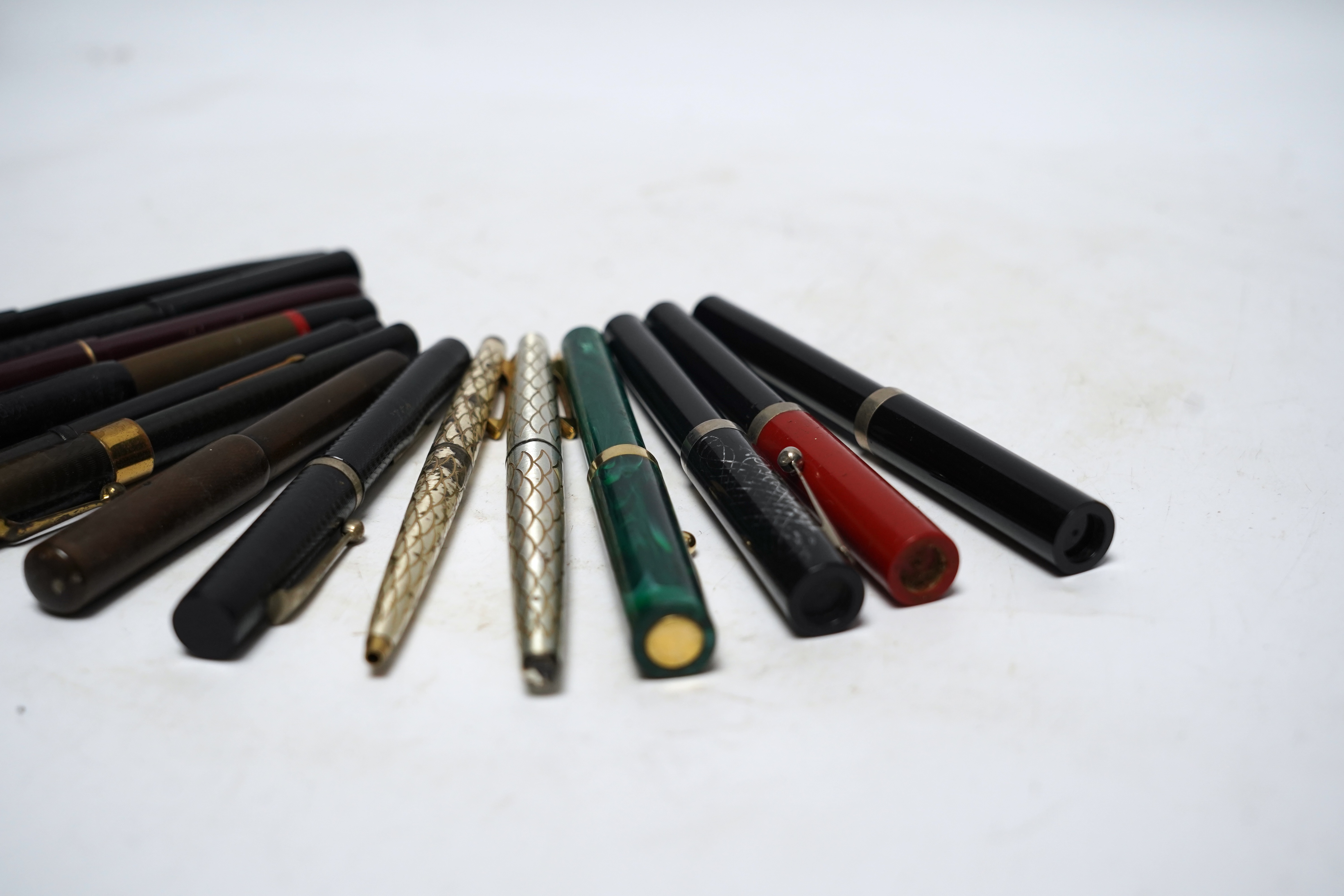 Fourteen assorted fountain pens.